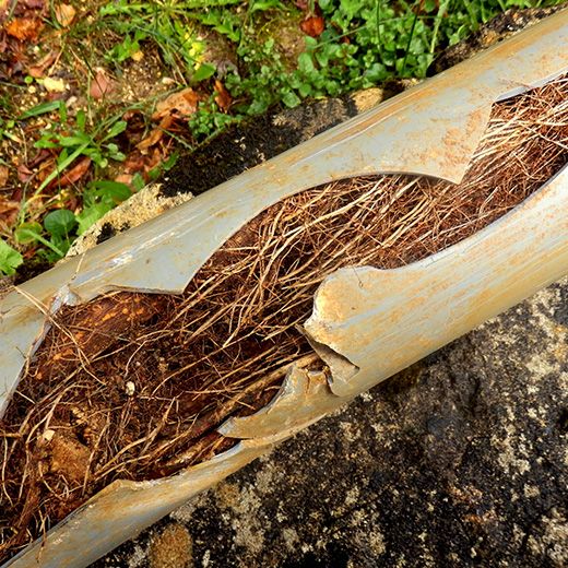 The Drain & Sewer Professionals In Gawler